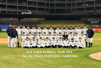 EHS Baseball UIL Champs 6-20-18